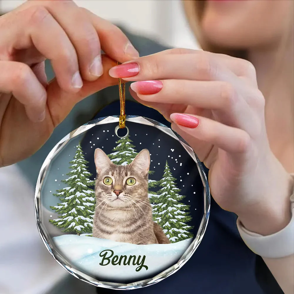 Custom Photo Pet Face - Personalized Circle Glass Ornament - Christmas Gift For Dog Lovers, Cat Lovers, Pet Lovers, Pet Memorial - NH96 - Image 4