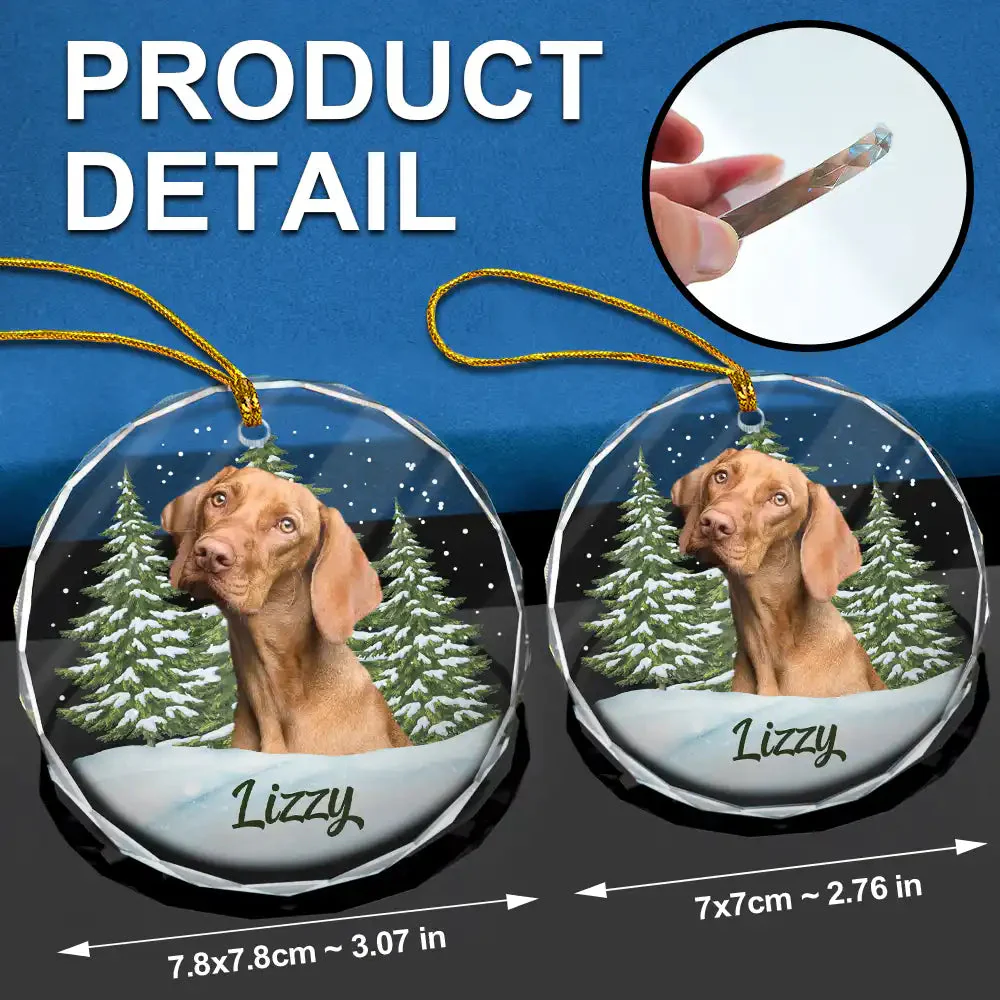 Custom Photo Pet Face - Personalized Circle Glass Ornament - Christmas Gift For Dog Lovers, Cat Lovers, Pet Lovers, Pet Memorial - NH96 - Image 6