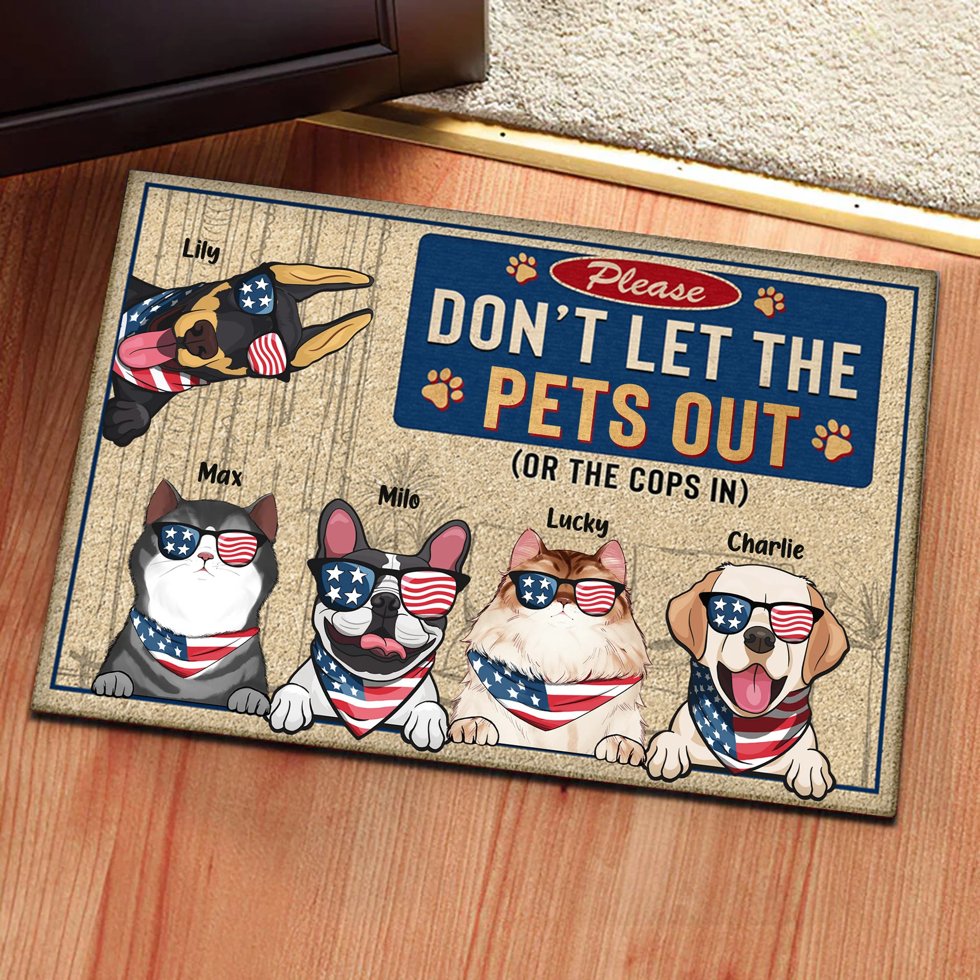 Please Don't Let The Cats Out - Gift For Pet Lovers - Personalized Door Mat - Image 4