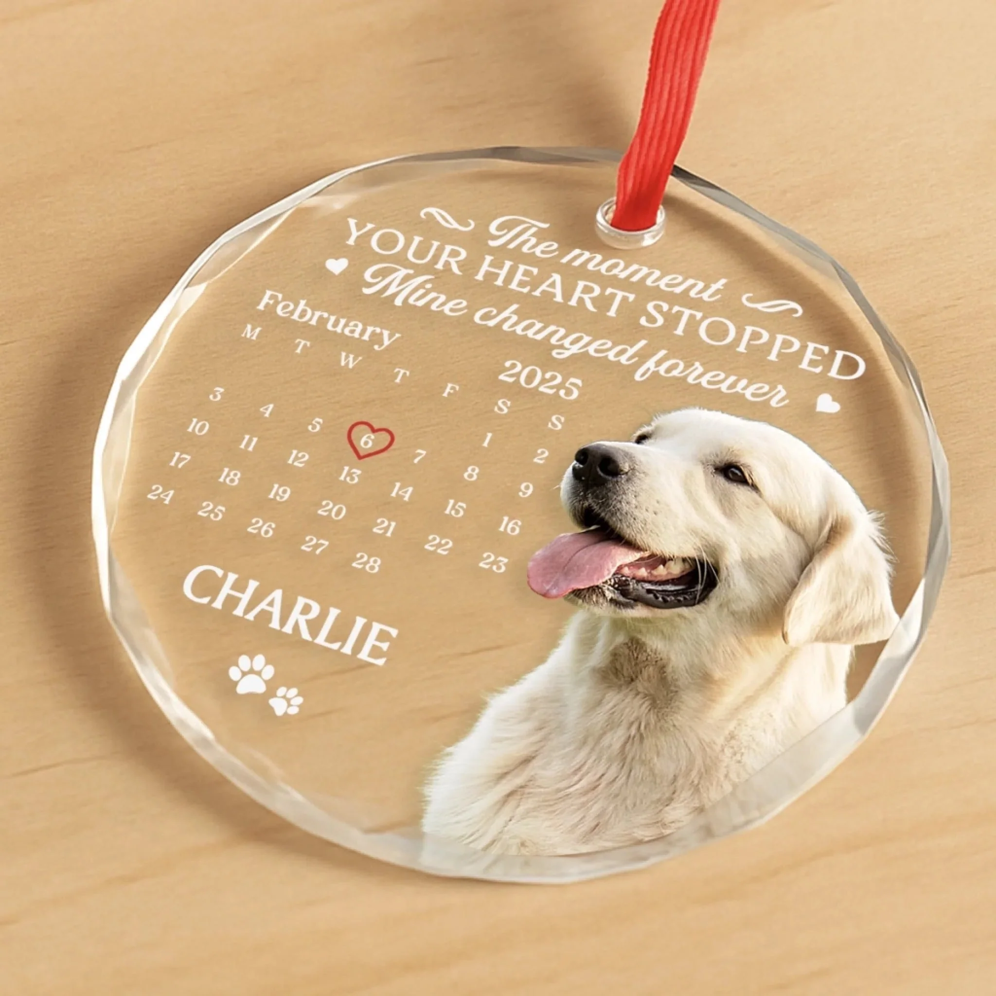 The Moment Your Heart Stopped Mine Changed Forever (Ver Pet) - Personalized Glass Ornament - Christmas Gift For Family, Memorial Pet, Dog, Cat HH01 - Image 3