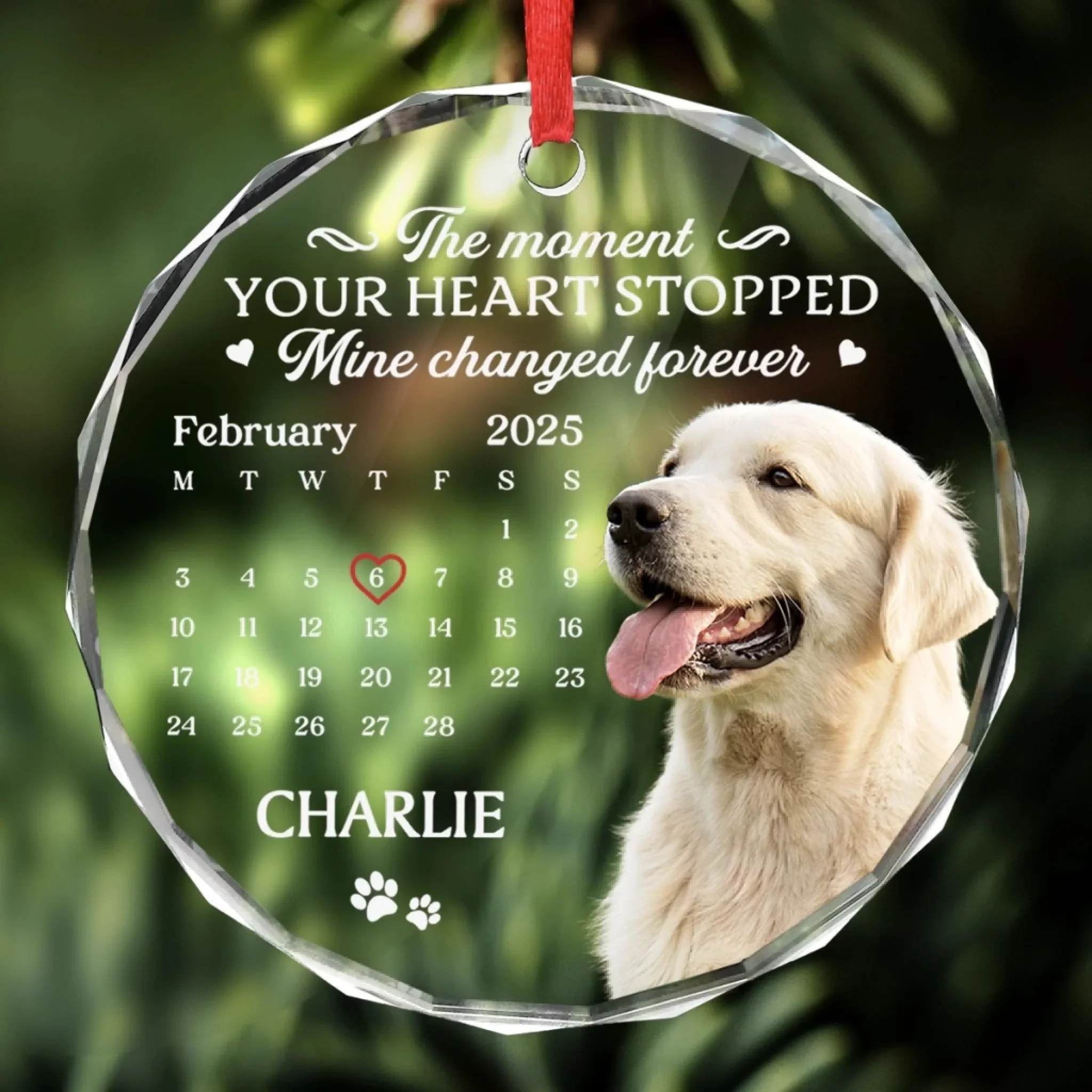 The Moment Your Heart Stopped Mine Changed Forever (Ver Pet) - Personalized Glass Ornament - Christmas Gift For Family, Memorial Pet, Dog, Cat HH01 - Image 4